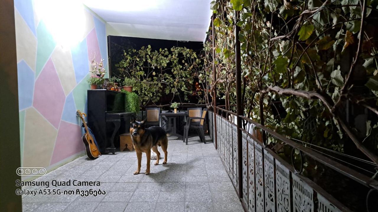 Apartment With A Nice Terrace In Old City Center Tbilisi Buitenkant foto